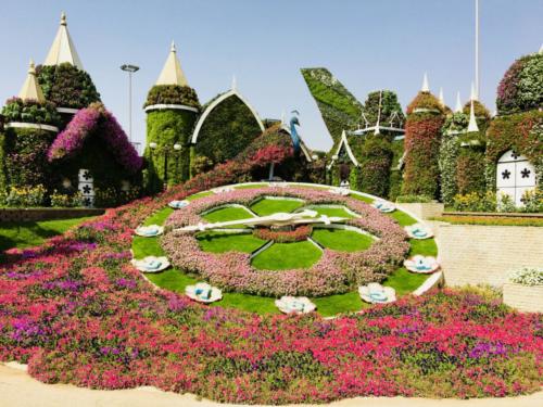 Miracle Garden Dubai