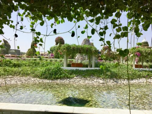 Miracle Garden Dubai