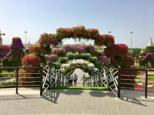 Miracle Garden Dubai