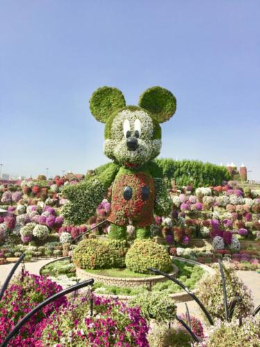 Miracle Garden Dubai Mickey Mouse