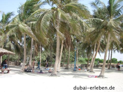 Jumeirah beach park
